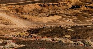 FNC启用紧急替补，却击败夺冠热门PRX