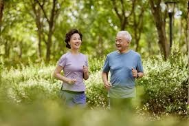 《解析慢速曲球：在快节奏时代，慢速为何能制胜？》